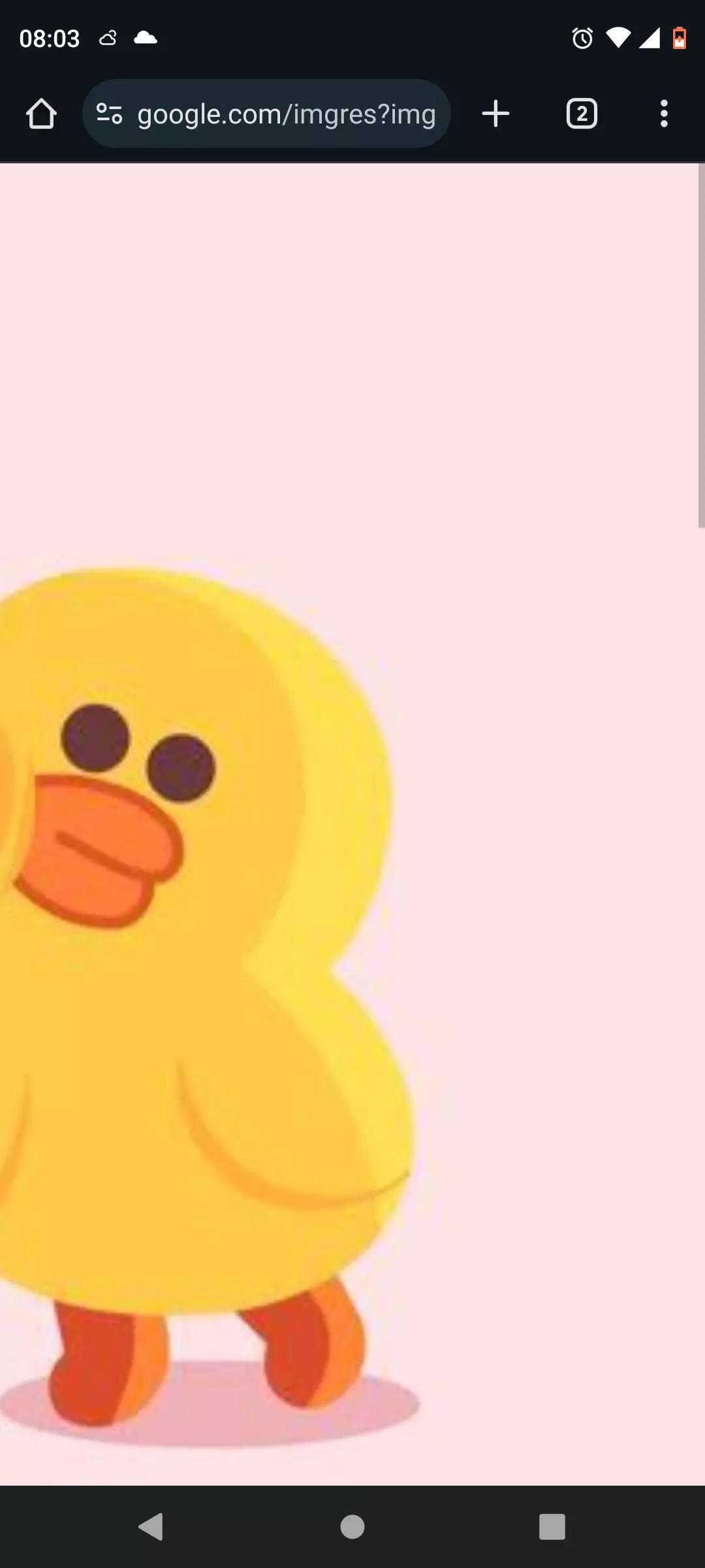 Pato thumbnail