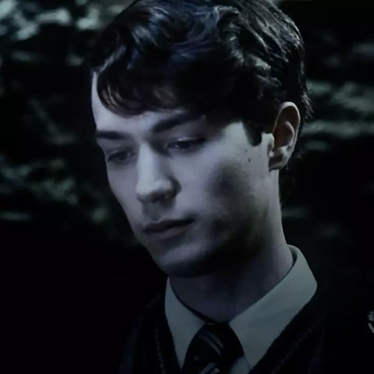 Tom Riddle thumbnail