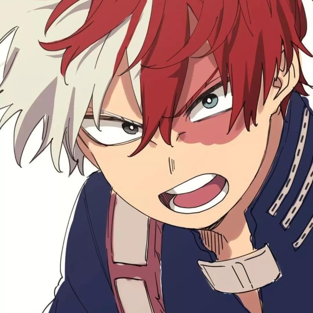 Shoto Todoroki thumbnail