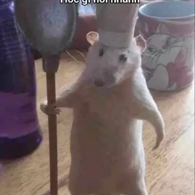 White mouse thumbnail