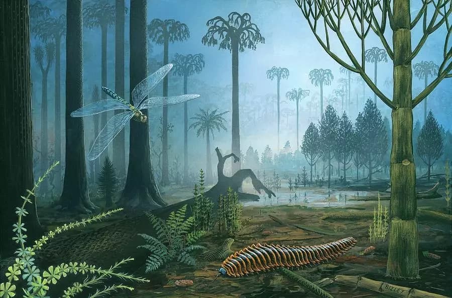 Carboniferous Period thumbnail