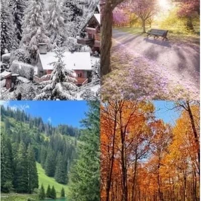 The four  seasons  (Helion and Lysander and Wren and Elian(you) thumbnail