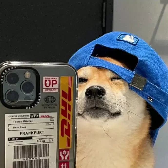 Cachorro pocas thumbnail