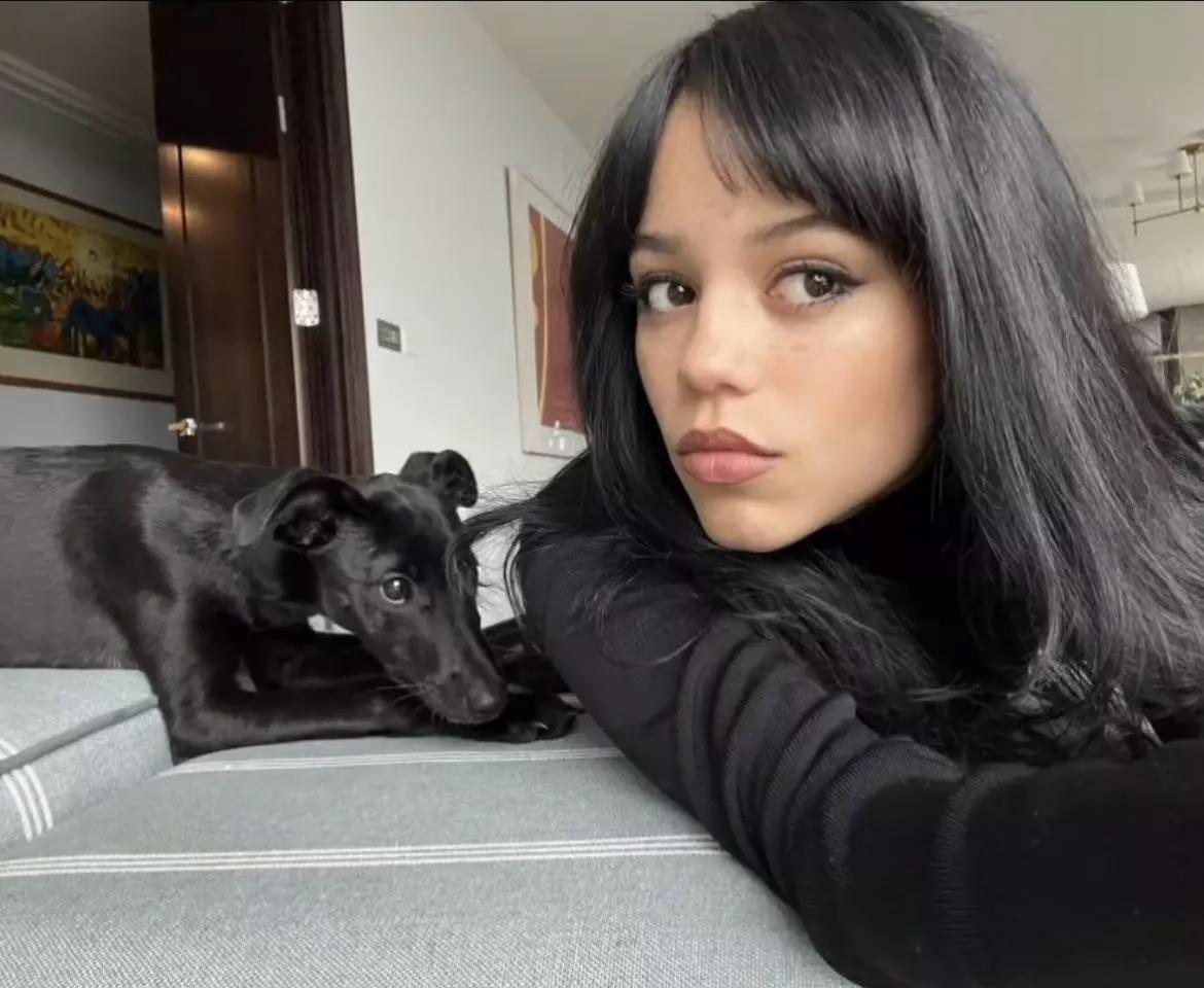 Jenna Ortega thumbnail