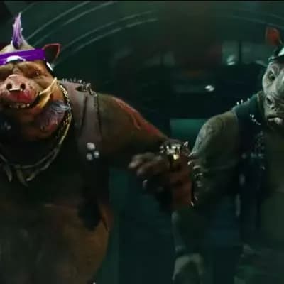Bebop and Rocksteady thumbnail