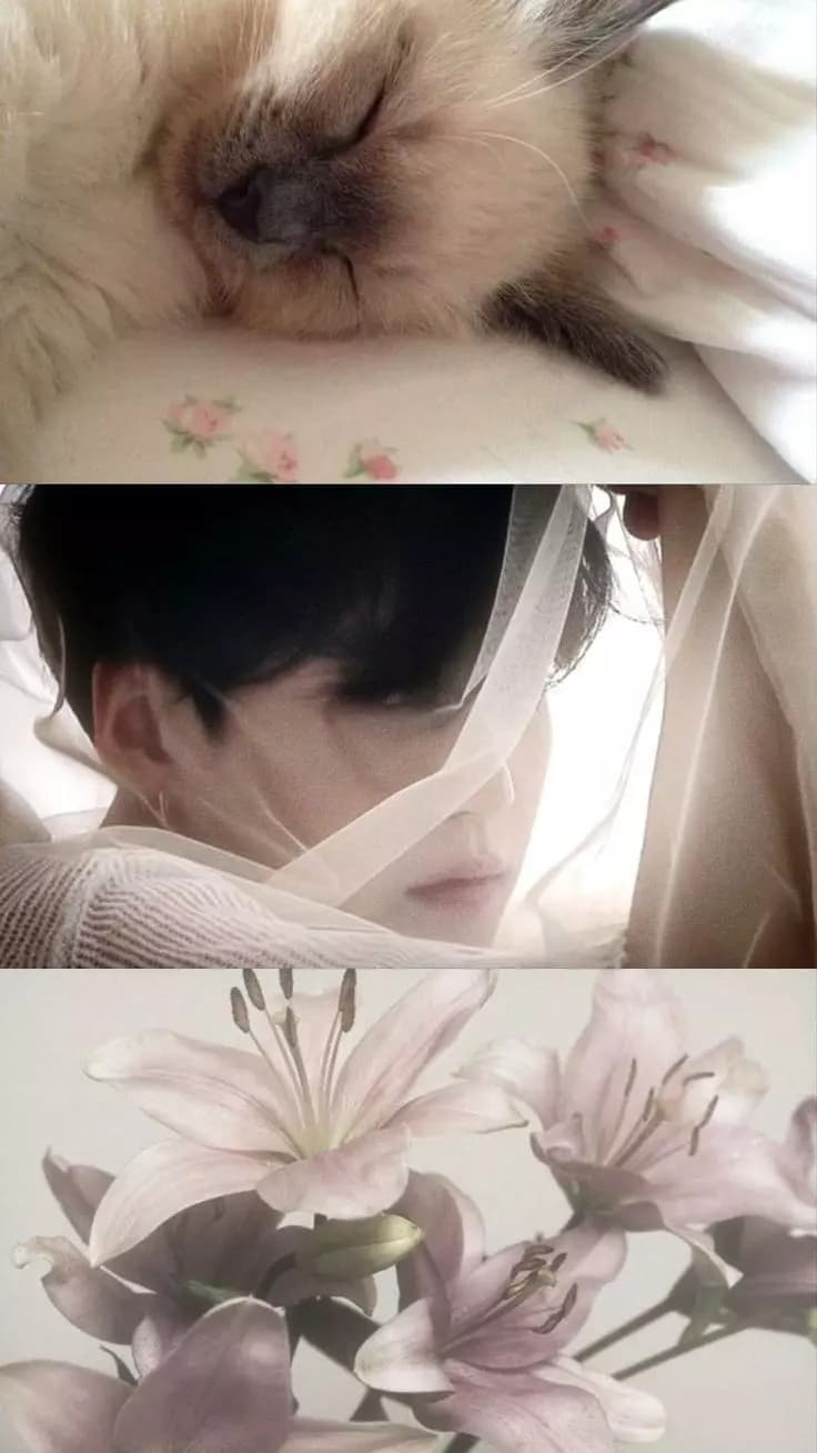 Jungkook thumbnail
