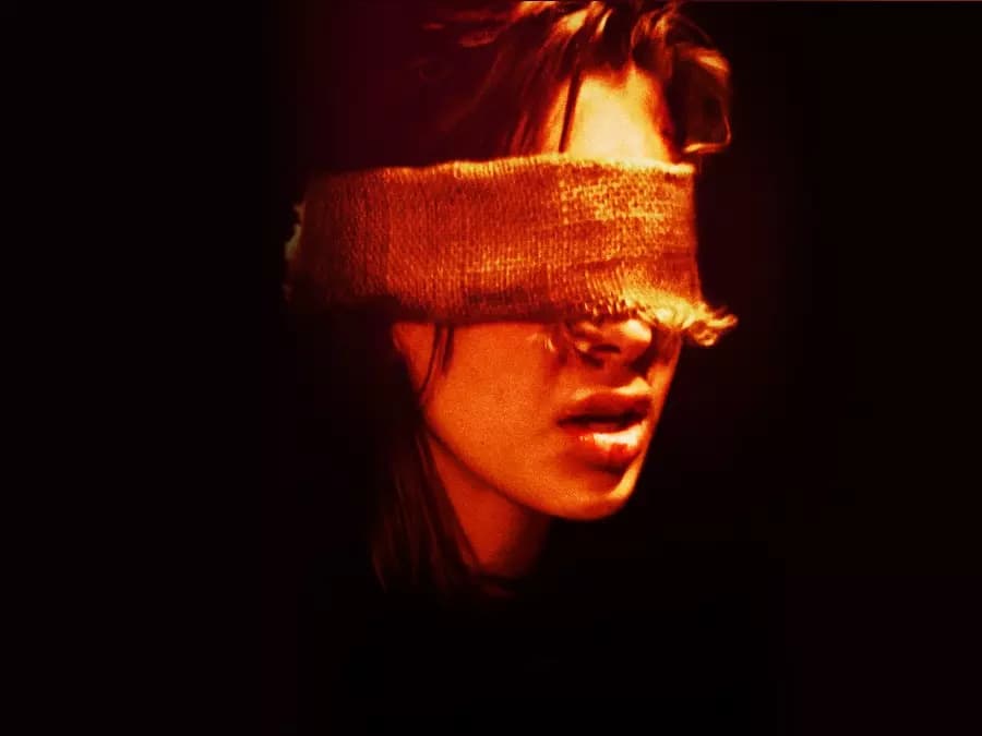 The Girl Next Door  thumbnail