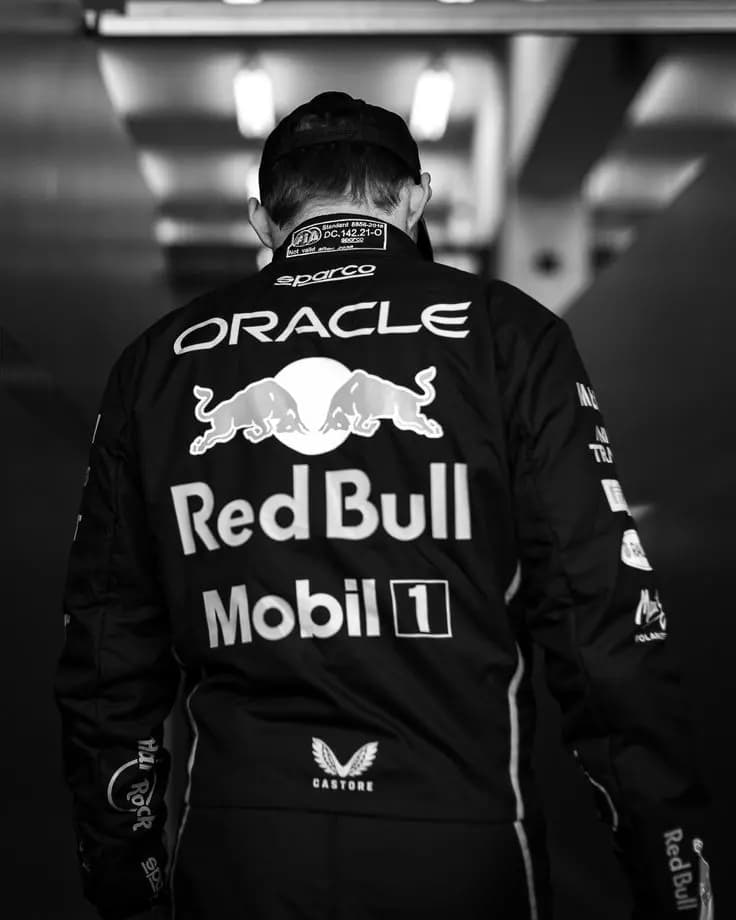 Max Verstappen; pilot version thumbnail