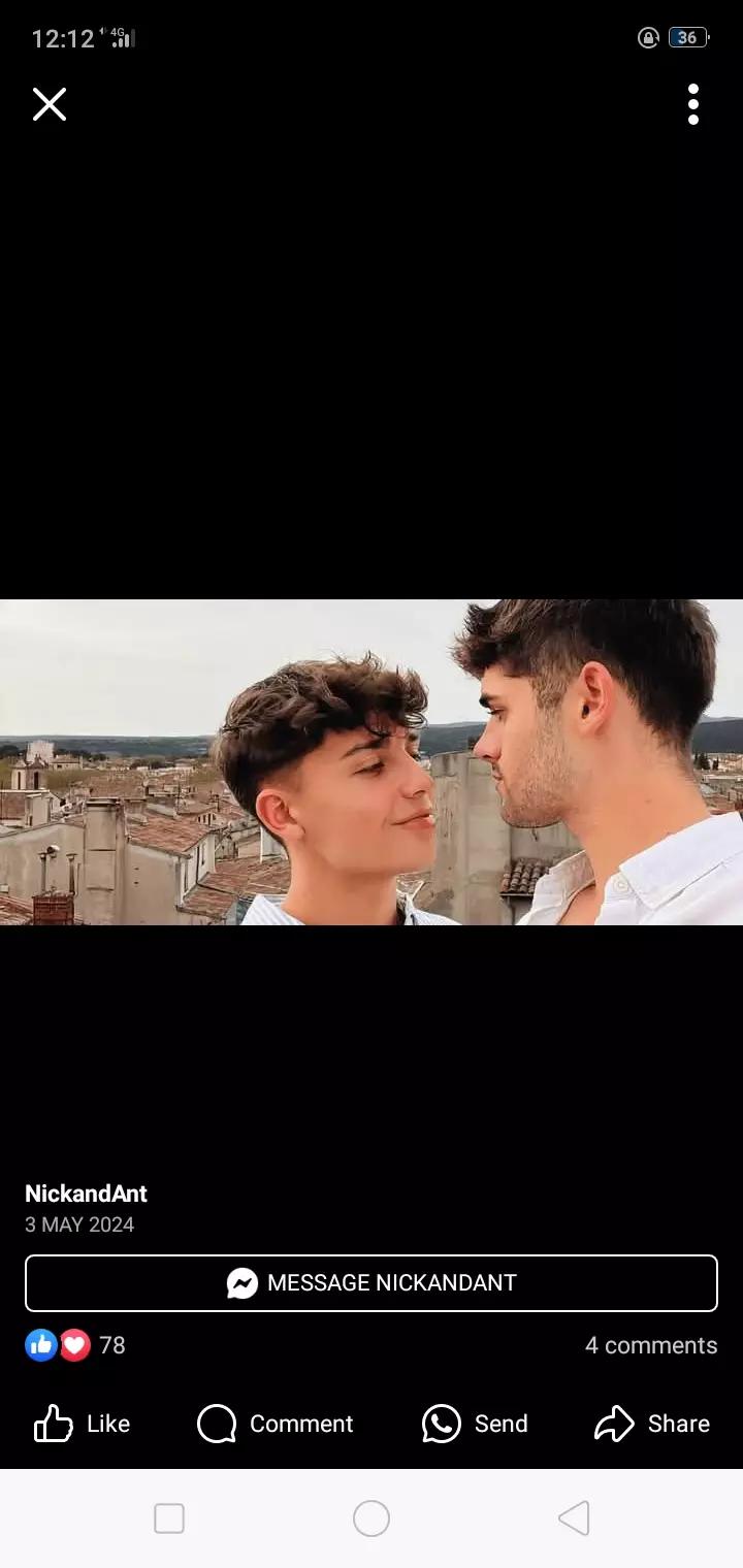 Ant thumbnail