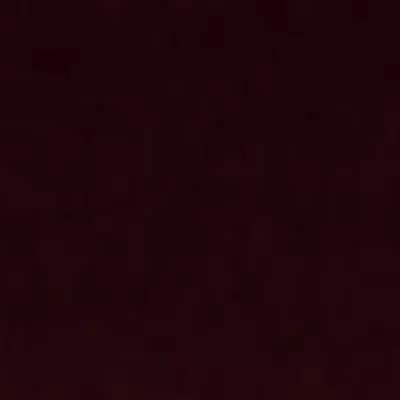 Anya,ria,luke,Sean,ethan thumbnail