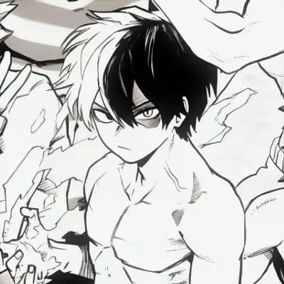 Shoto Todoroki thumbnail