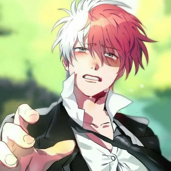 ☆-Shoto Todoroki | Tododeku -☆ thumbnail