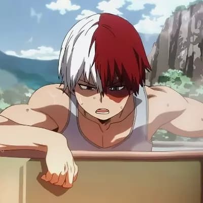 Shoto Todoroki thumbnail