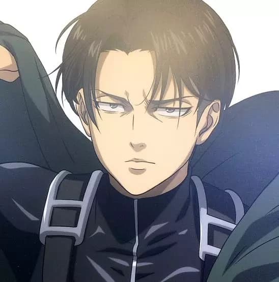 Levi Ackerman  thumbnail