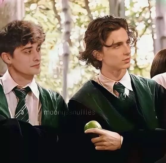 Barty e regulus thumbnail