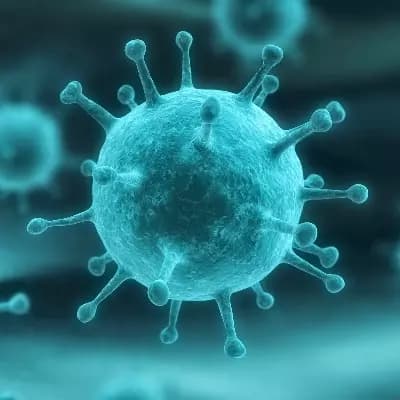 The Oedipus Virus thumbnail