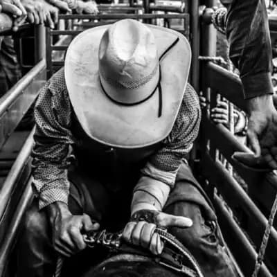 Filipo Collazo | cowboy thumbnail