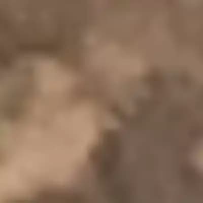 Meg thumbnail