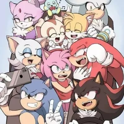 Team Sonic  thumbnail