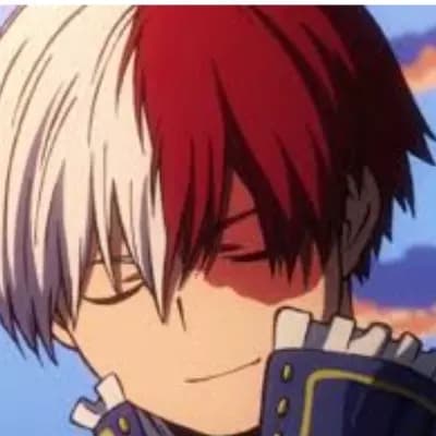Shoto Todoroki  thumbnail