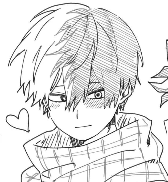 Shoto Todoroki thumbnail