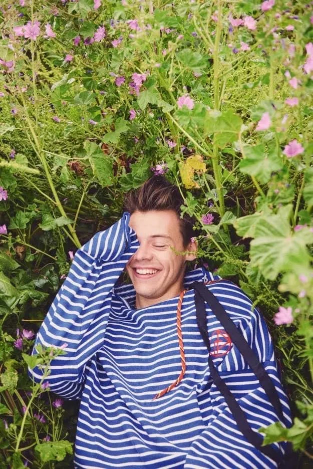 Harry Styles thumbnail