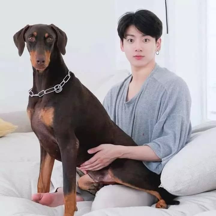 Jungkook thumbnail