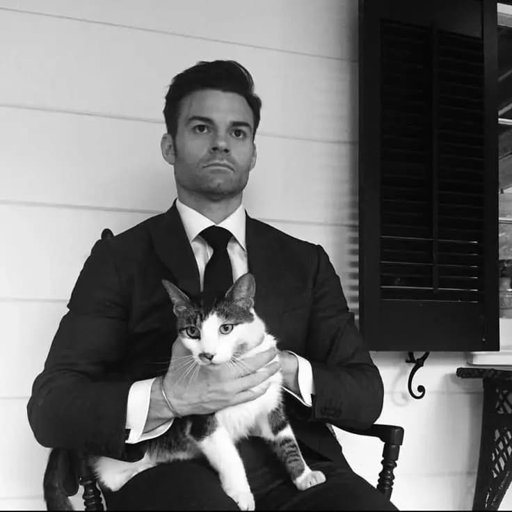 Daniel Gillies thumbnail