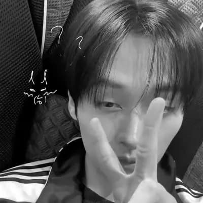 Lee Minho ·˚ ༘₊· ͟͟͞͞꒰➳ thumbnail