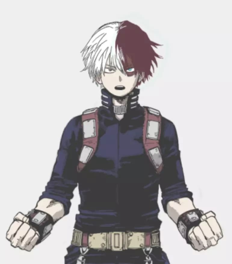 Shoto todoroki thumbnail