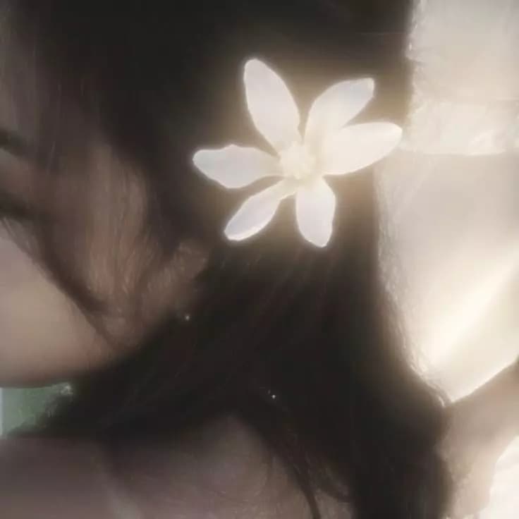 Lily thumbnail
