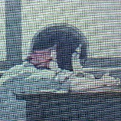 Ellen Joe thumbnail