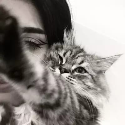 Hyunjin thumbnail