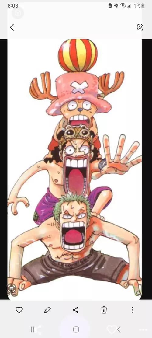 Straw hat  thumbnail