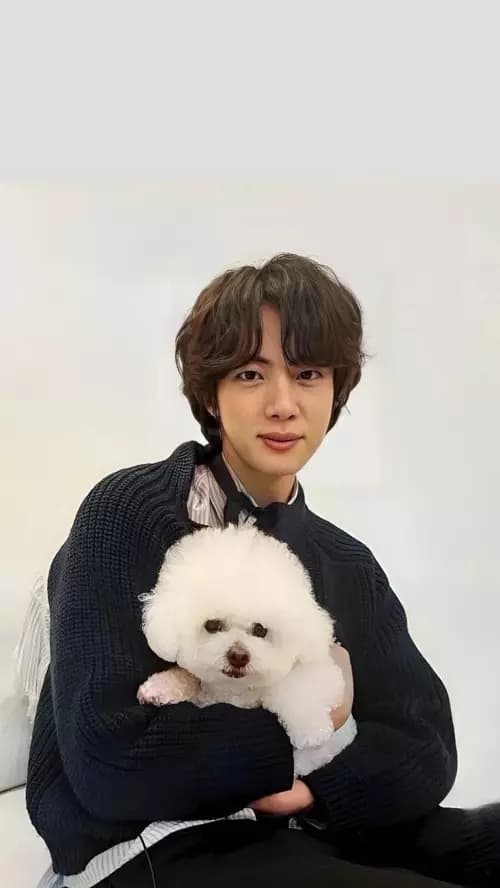Jin thumbnail