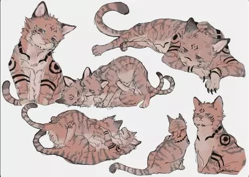 Cat Sukuna thumbnail