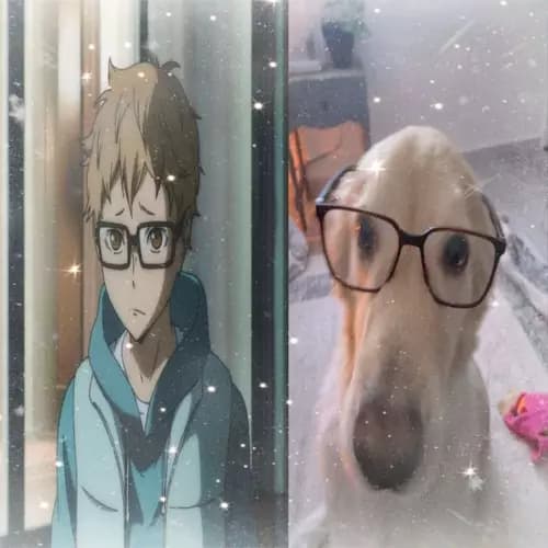 Kei tsukishima thumbnail