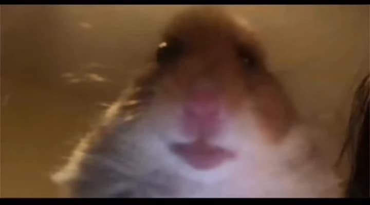 Bill thumbnail