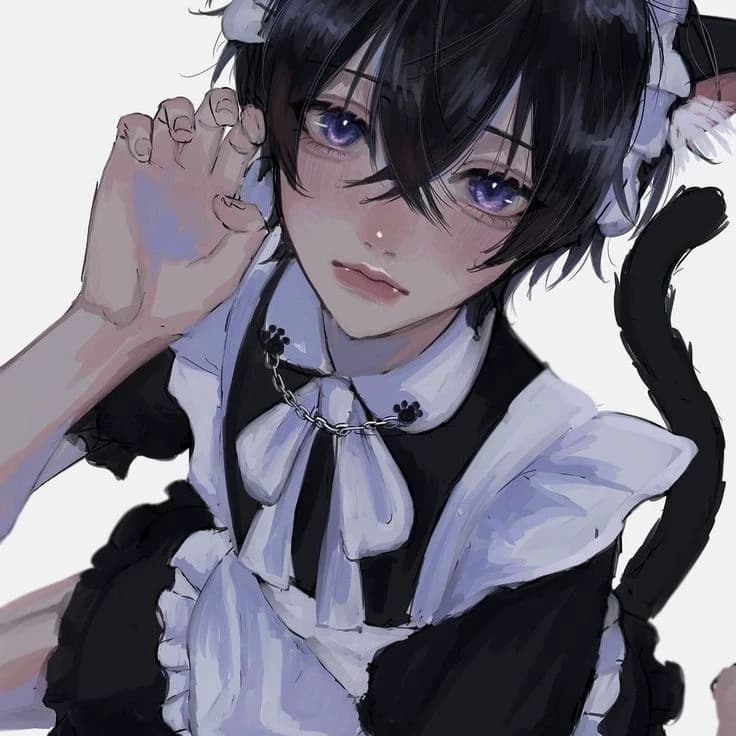 nico 🐾 thumbnail