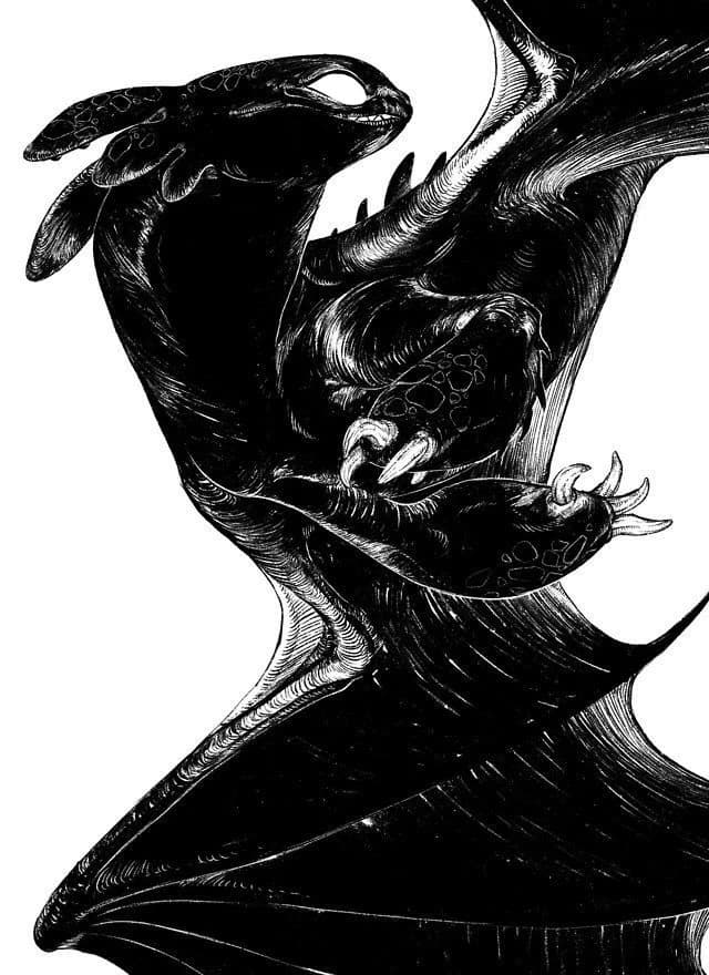Night Fury rescued thumbnail