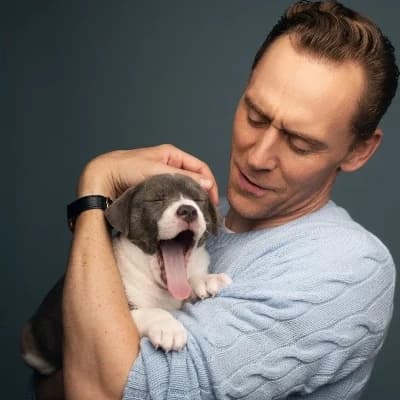 Tom Hiddleston thumbnail