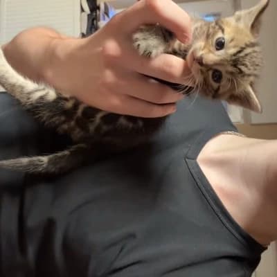 Aaron thumbnail