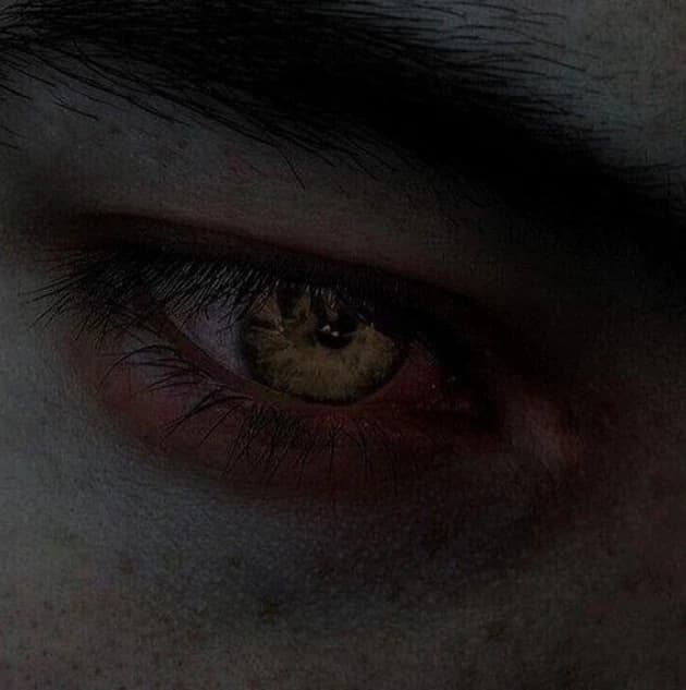 Lycus thumbnail