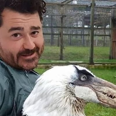 Darevk thumbnail