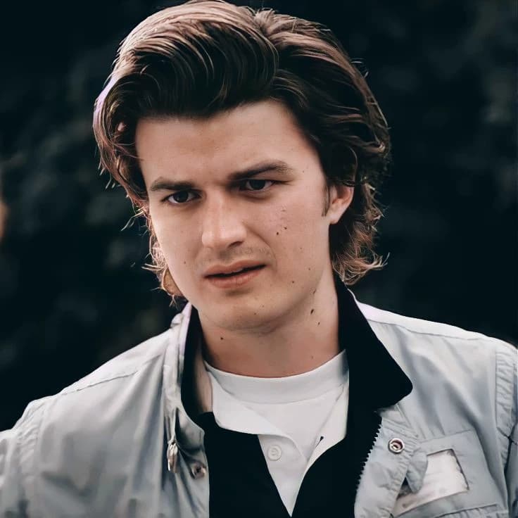 Steve Harrington thumbnail