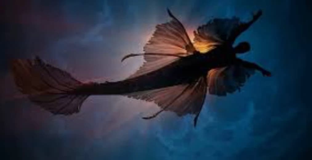 Talien thumbnail