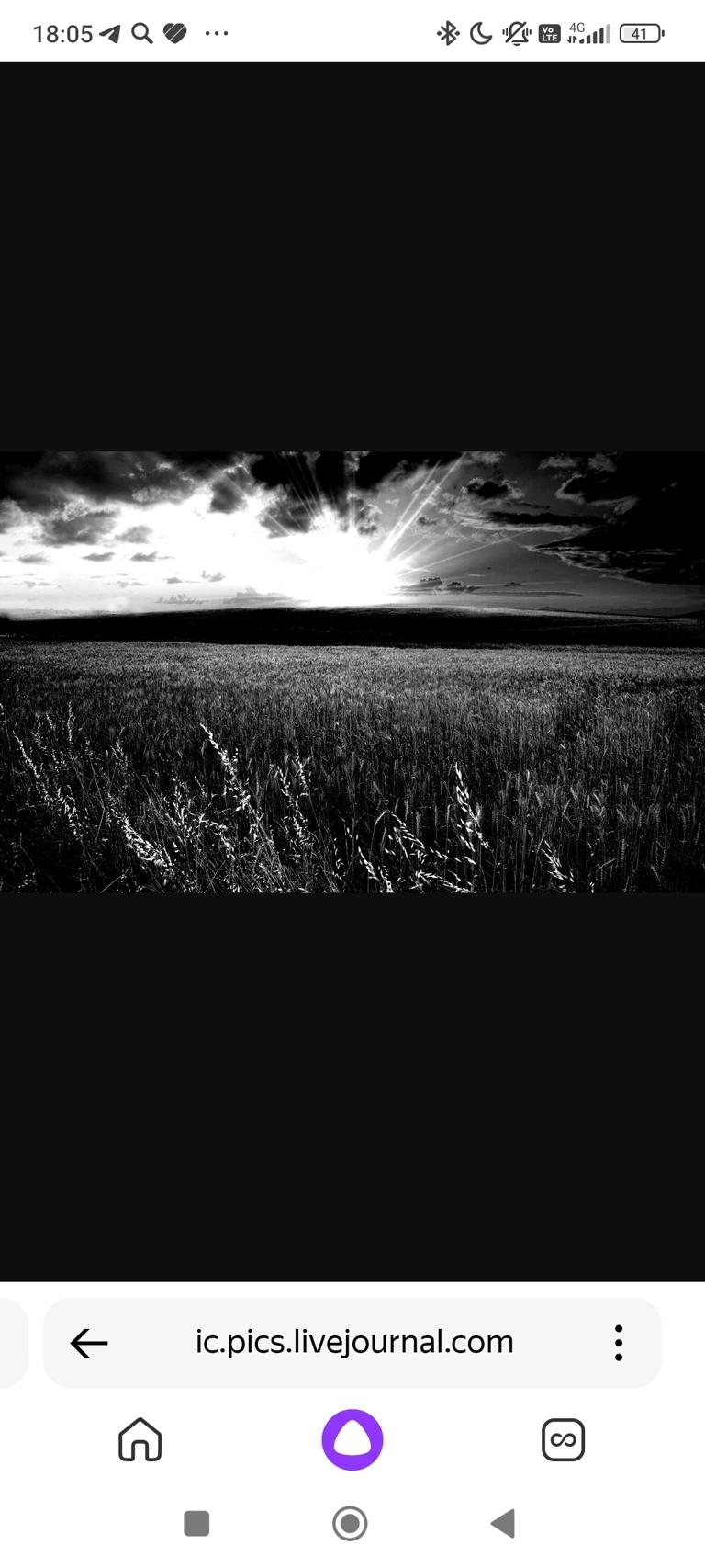 Field of Rotting thumbnail