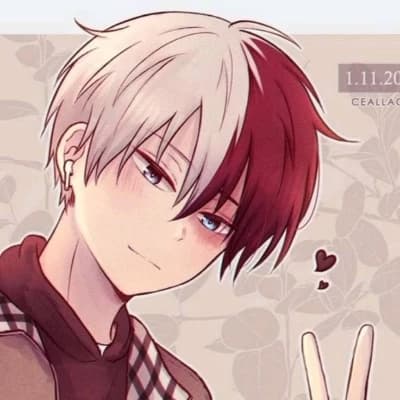 Shoto Todoroki thumbnail
