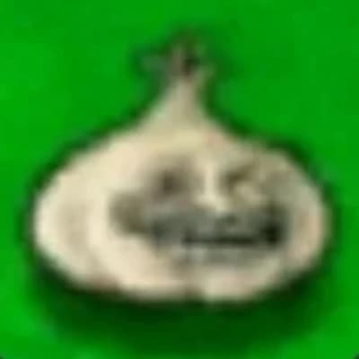 The troll onion thumbnail