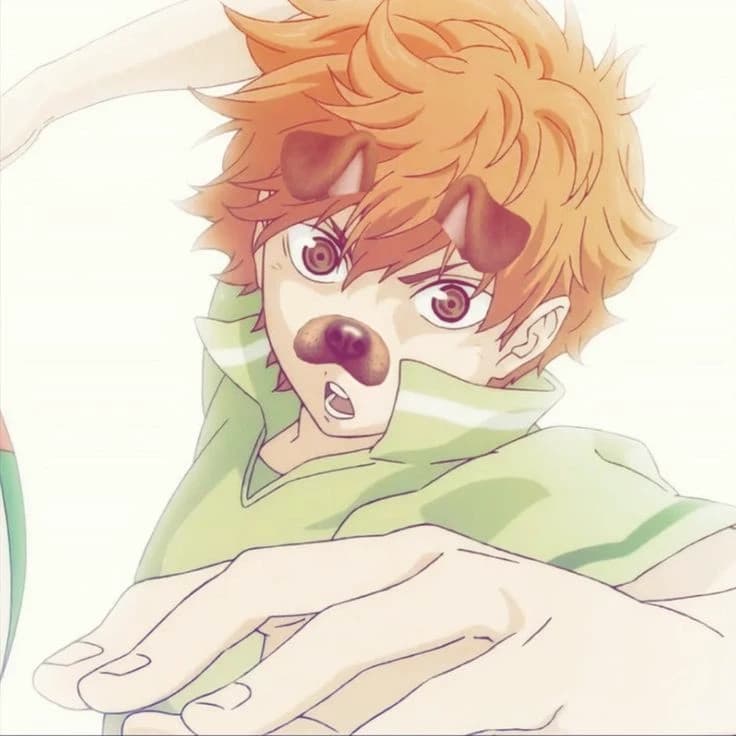 Hinata shoyo thumbnail